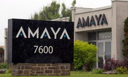 Amaya заявляет о весьма успешном прошедшем годе