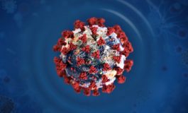 Падающая звезда Bay 101 попала в десятку из-за коронавируса